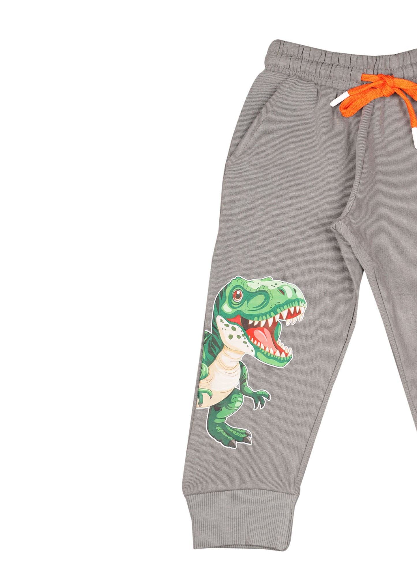 Dinosaur Grapic Pajama