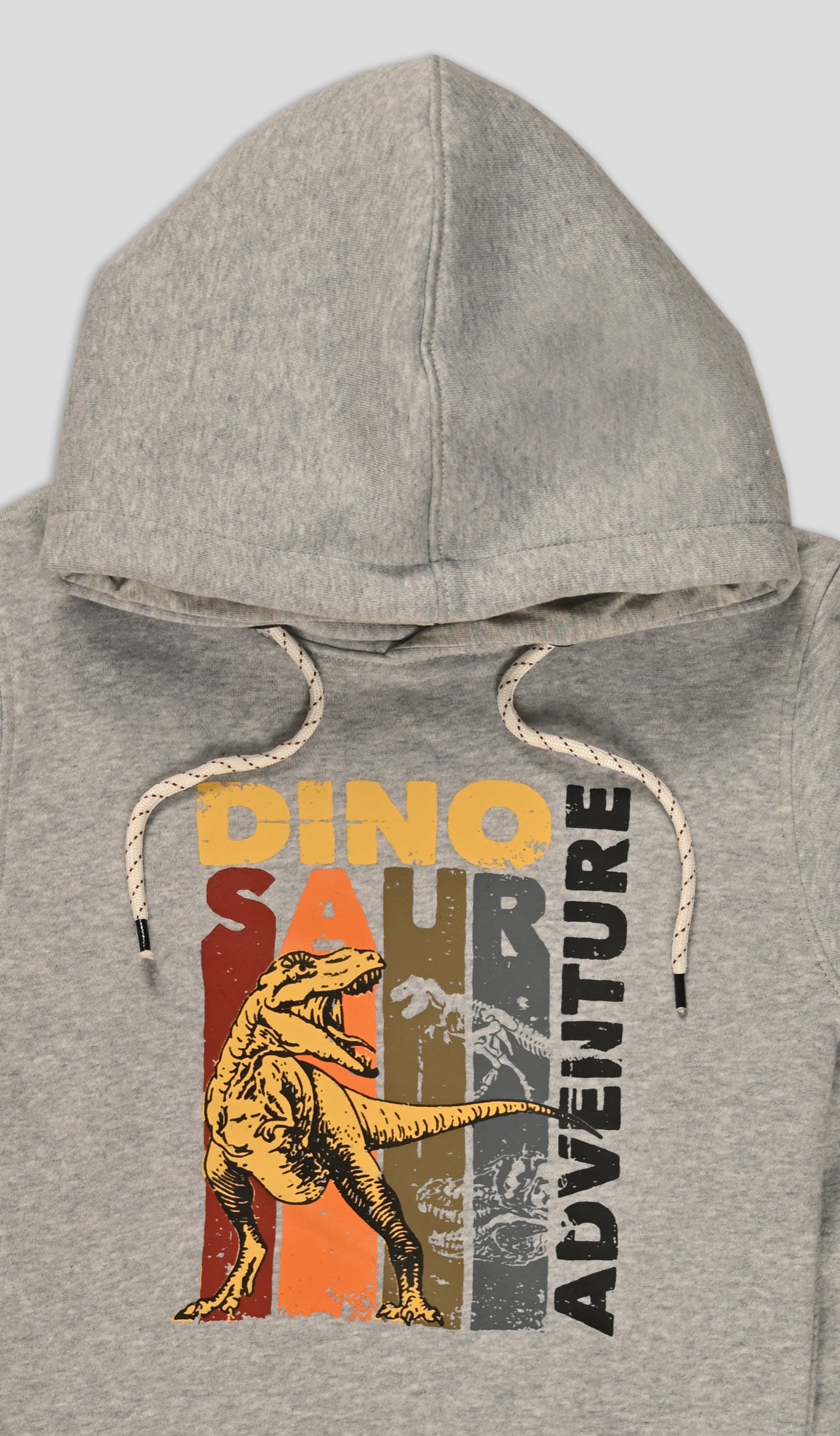 Dinosaur Hoodie