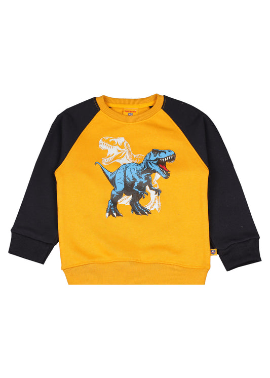 Dinosaur Grapic Raglan  Sweatshirt