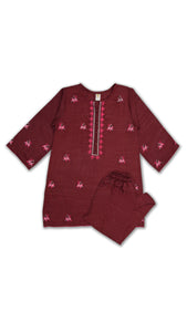 Embroidered Kameez & Trouser