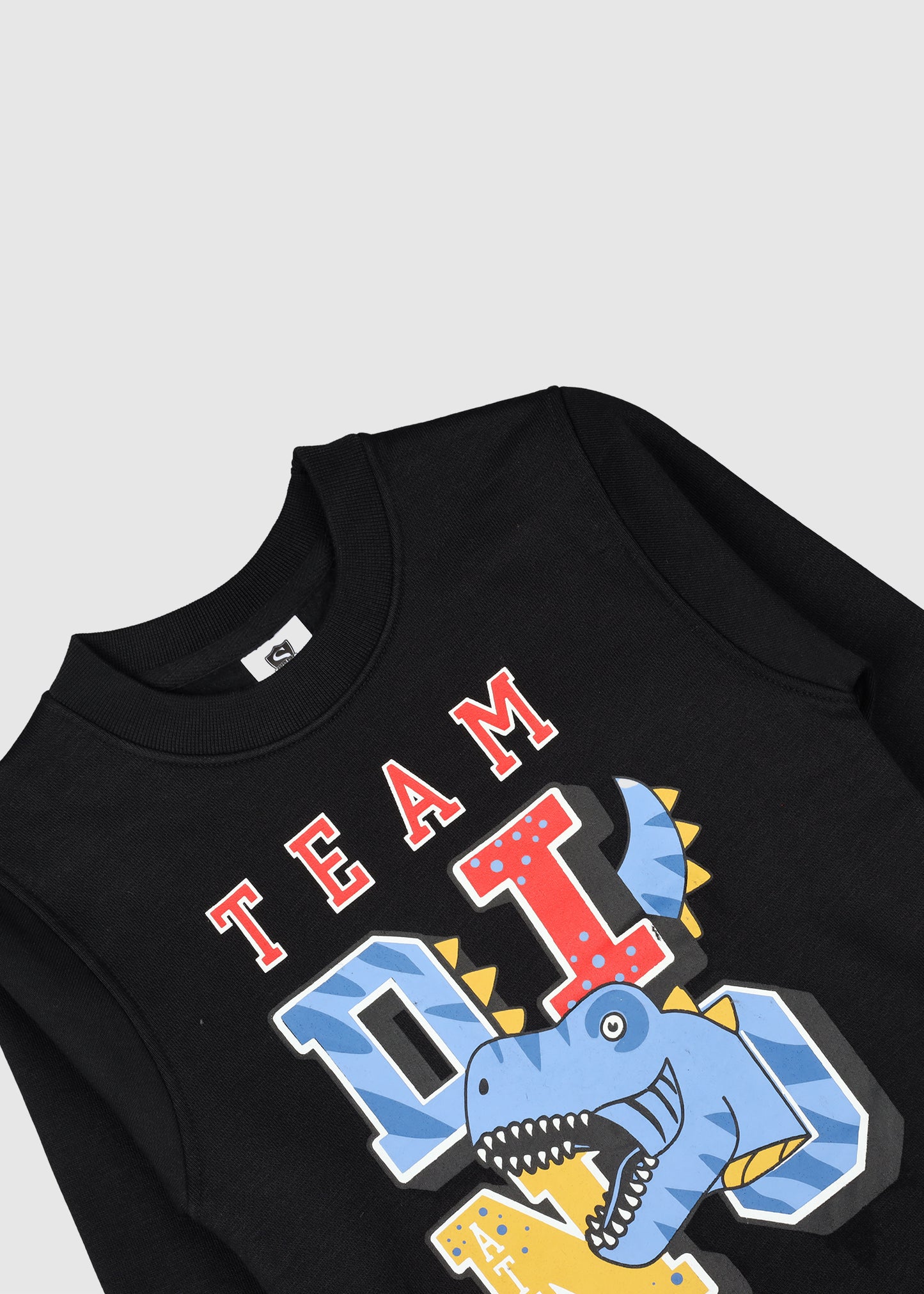 Team Dino Sweashirt