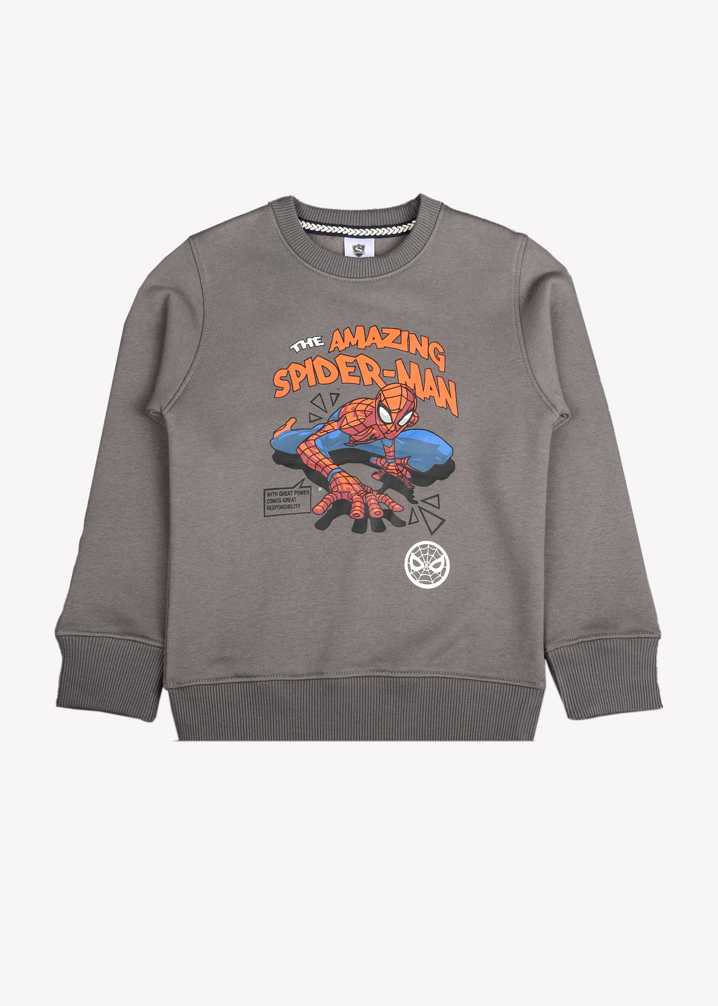 The Amazing SpiderMan Grapic Sweatshirt