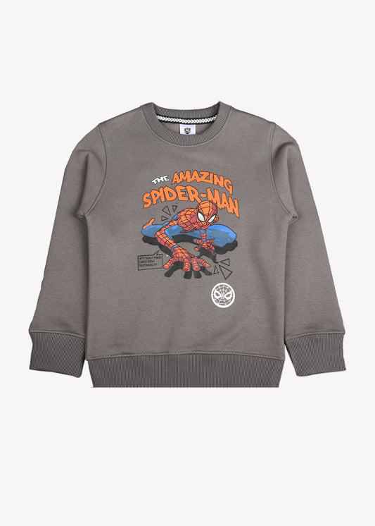 The Amazing SpiderMan Grapic Sweatshirt