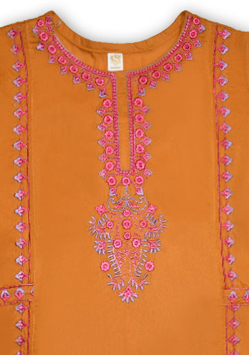 Girl's Embroidered Top