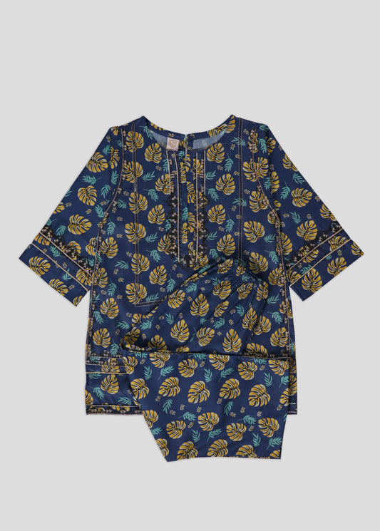 Embroidered Kameez & Trouser