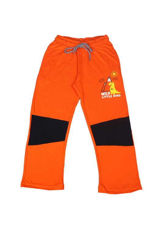 Wild Little DINO Grapic Pajamas