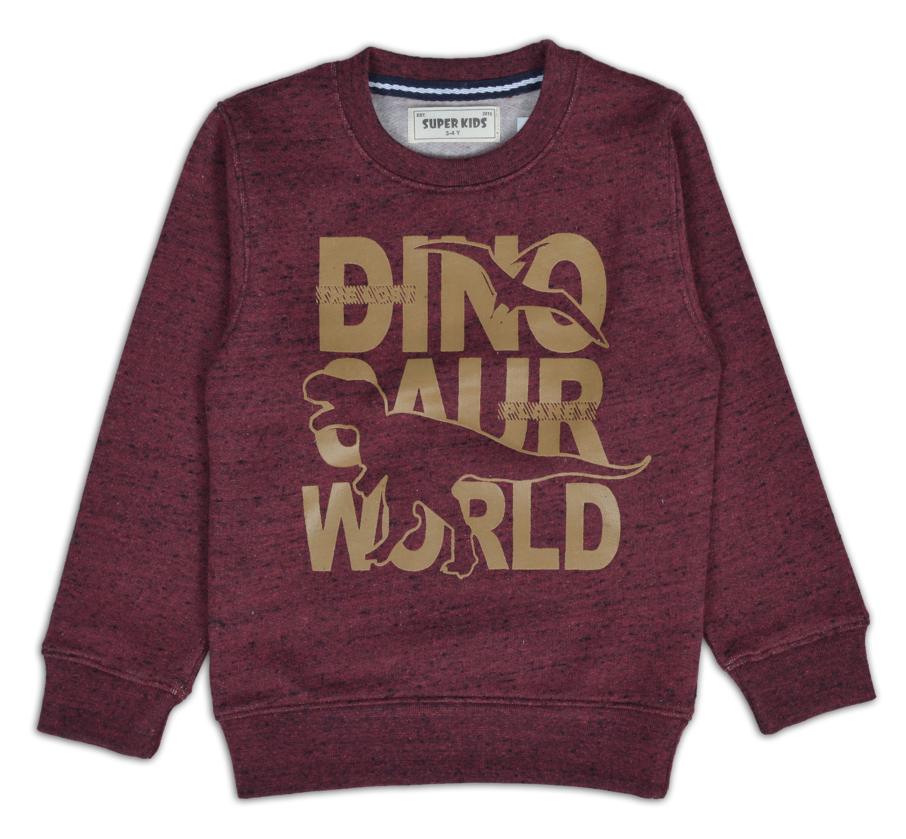 Boy's Sweat Shirt