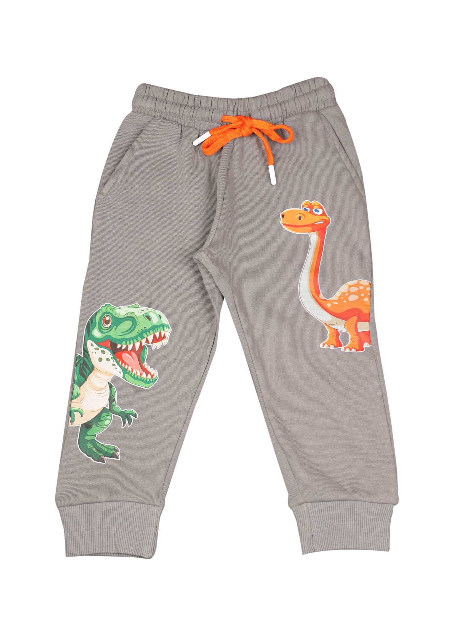 Dinosaur Grapic Pajama