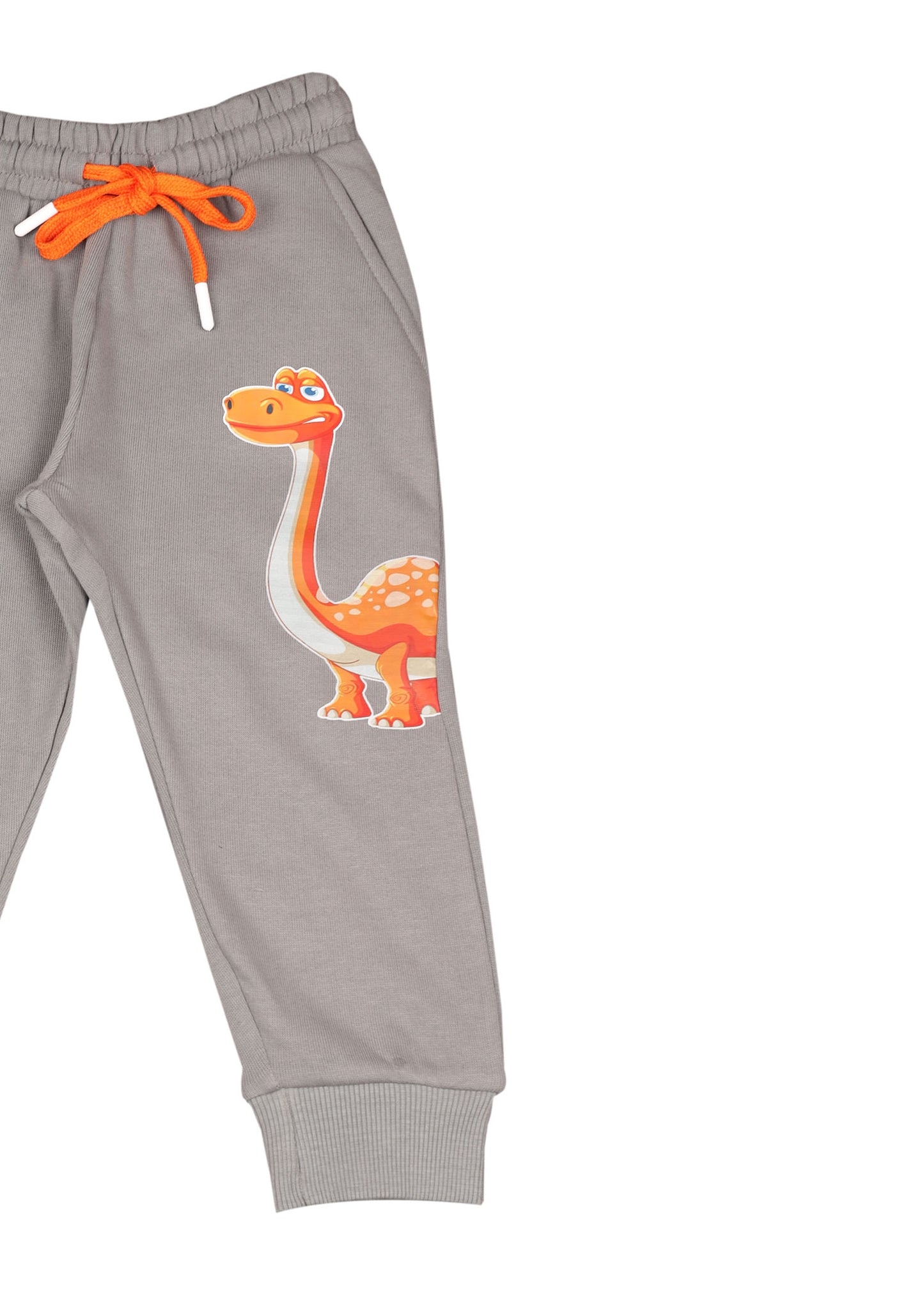 Dinosaur Grapic Pajama