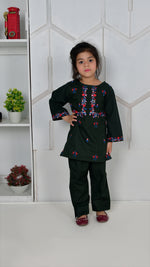 Load image into Gallery viewer, Embroidered Kameez &amp; Trouser
