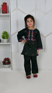 Embroidered Kameez & Trouser