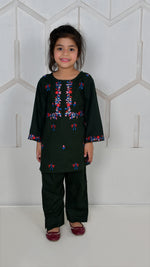 Load image into Gallery viewer, Embroidered Kameez &amp; Trouser
