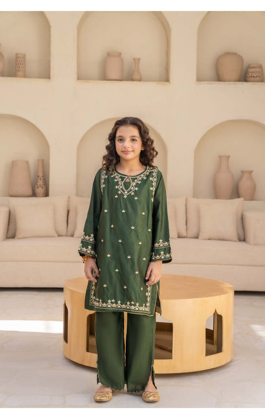 Embroidered Kameez & Trouser