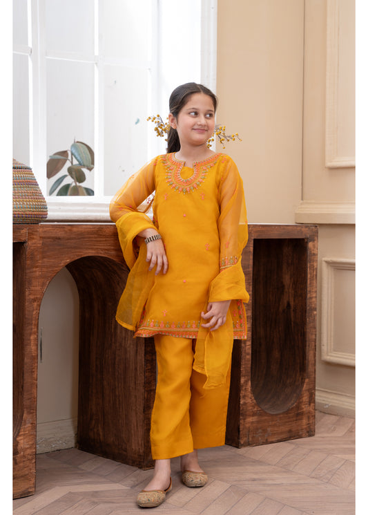 Embellished Kameez & Trouser