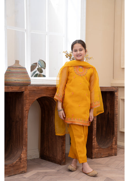 Embroidered kurta trouser