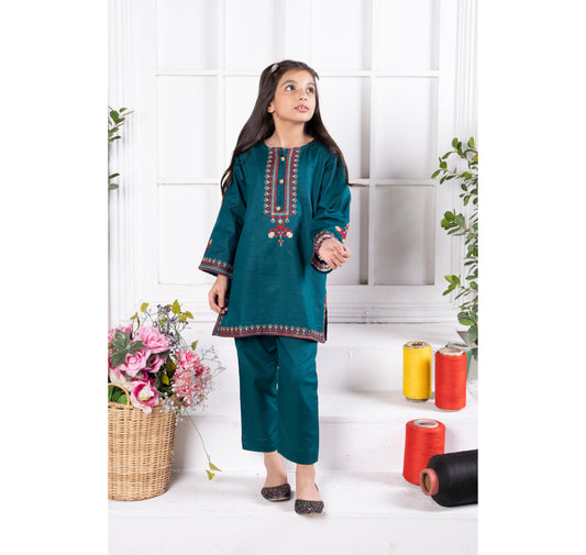 Hand Embroidered Kameez Trouser