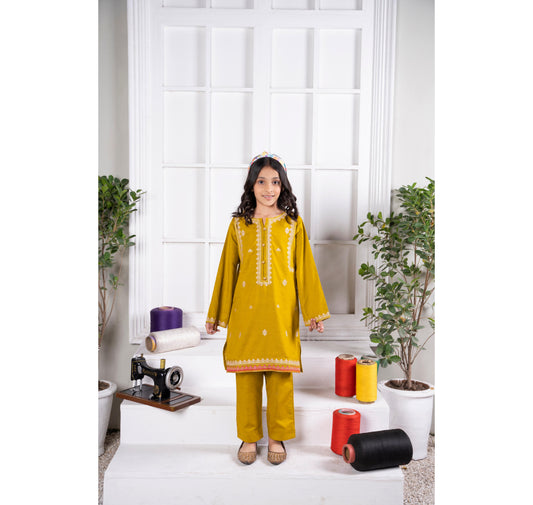 Hand Embroidered Kameez Trouser