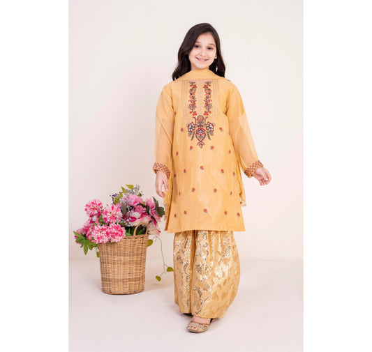 Embelliahed Kameez,Gharara & Dupatta